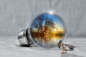 SHOP BÁN LAPTOP DELL XÁCH TAY CŨ UY TÍN GIÁ RẺ QUẬN 1