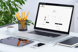 CỬA HÀNG BÁN LAPTOP CŨ TRẢ GÓP UY TÍN TPHCM